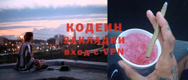 индика Медногорск