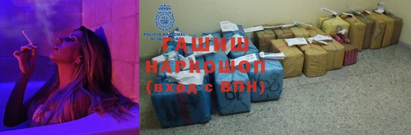 индика Медногорск