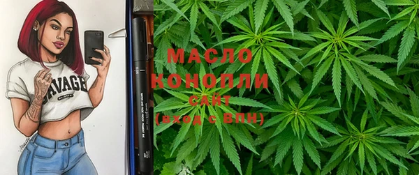 индика Медногорск