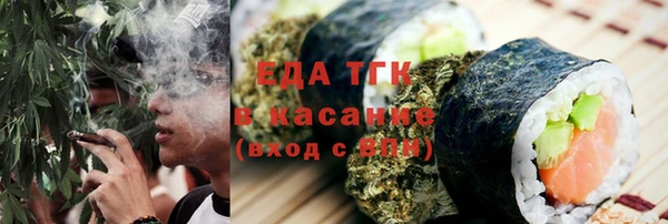 индика Медногорск