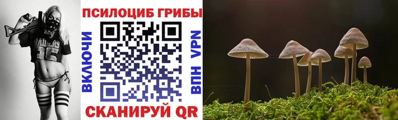 MEGA сайт  Злынка  Галлюциногенные грибы мухоморы 