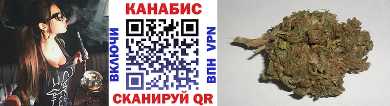 магазин    Злынка  Бошки марихуана сатива 